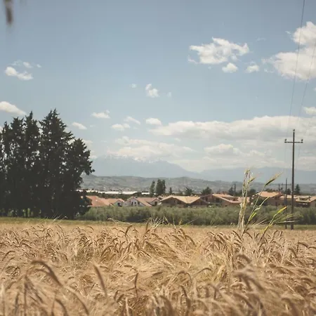 住宿加早餐酒店 Malu Citta Sant Angelo Confortevoli E Parcheggio Gratuito